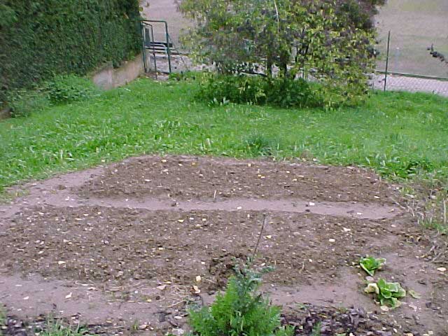 MVC-001F.JPG, 94354 bytes, 14/11/01