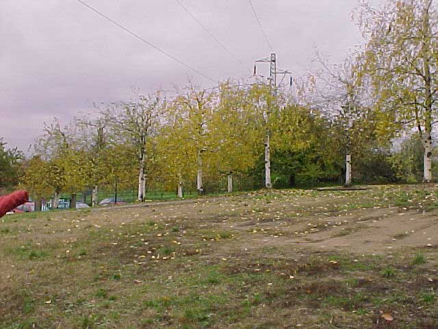 MVC-010F.JPG, 80891 bytes, 14/11/01